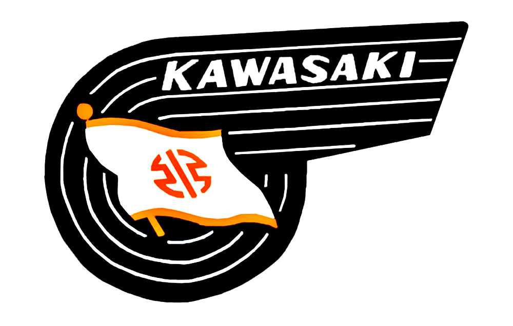 Kawasaki Paint